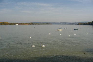 Sırbistan 'ın başkenti Belgrad' ın Zemun belediyesindeki Tuna Nehri 'nin panoramik manzarası