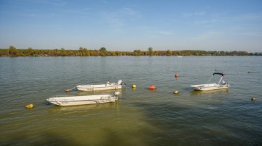 Sırbistan 'ın başkenti Belgrad' daki Tuna Nehri 'ne küçük renkli balıkçı tekneleri saçıldı