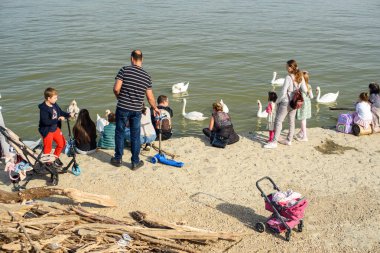 Sırbistan 'ın başkenti Belgrad' daki Tuna Nehri üzerindeki Zemun rıhtımında 27 Ekim 2024 'te insanlar beyaz kuğuları besliyor