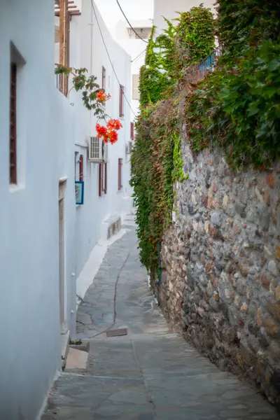 Naxos 'un Naxos Hora kasabasındaki eski kentte, Ege Denizi' ndeki Yunan Kiklad adalarının en büyüğü.