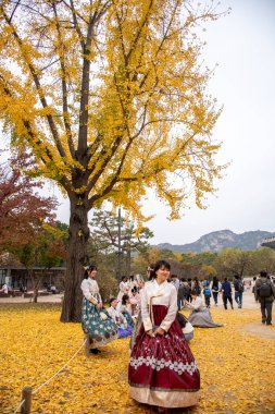 4 Kasım 2023 tarihinde Güney Kore 'nin başkenti Seul' deki Joseon hanedanlığının Gyeongbokgung kraliyet sarayında geleneksel Kore halk kostümleri ve Hanbok giysileri giyen turistler görülüyor.