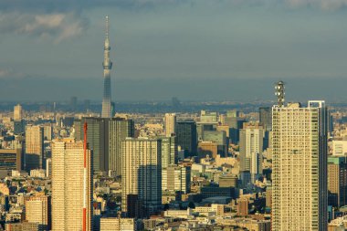 Tokyo şehir manzarası Tokyo 'daki Metropolitan Hükümet Binası, Japonya' nın başkenti 18 Nisan 2018