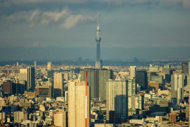 Tokyo cityscape view from the Metropolitan Government Building in Tokyo, capital of Japan on 18 April 2018 clipart