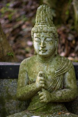 Japonya 'nın İzumisano kentindeki Inunaki Dağı' ndaki Shipporyuji Shingon Budist Tapınağı 'nda 3 Mayıs 2018 tarihinde yapılan Budist heykeli.