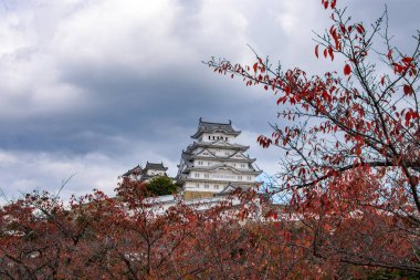 Japonya 'nın Kansai bölgesindeki Hyogo ilinin Himeji şehrindeki güzel Himeji Şatosu sonbahar sezonu boyunca
