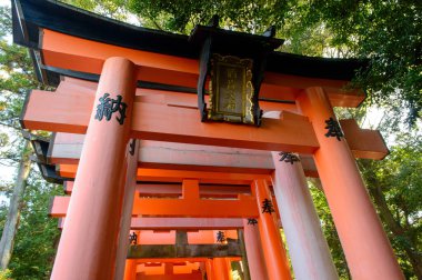 Fushimi Inari 3 Kasım 2017 tarihinde Japonya 'nın Kyoto kentinde ünlü Shinto tapınağı ve popüler turizm merkezi