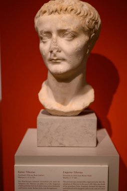 2 Ocak 2025 'te Berlin' in tarihi merkezinde bulunan Altes Müzesi, Müze Adası kompleksindeki antik sanat eserlerinin sergilenmesi