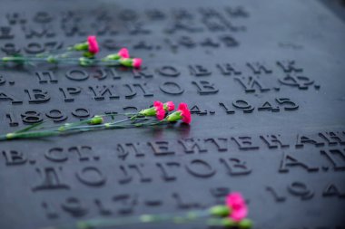 4 Ocak 2025 'te Berlin, Almanya' daki Tiergarten parkındaki Sovyet Savaş Anıtı 'nda güller