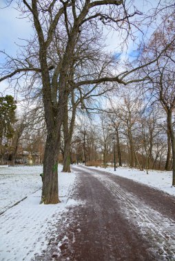 Letna Park, 12 Ocak 2025 'te Çek Cumhuriyeti' nin Prag kentindeki Vltava nehrinin üzerindeki Letna tepesinde büyük bir halk parkı.