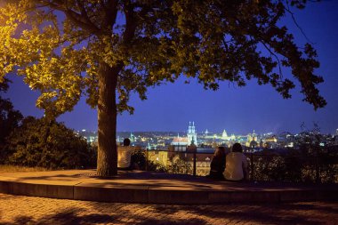 Letna Park, large public park on the Letna hill above Vltava river in Prague, Czech republic on 15 July 2024 clipart