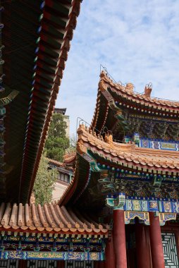 20 Nisan 2024 'te Çin' in Pekin kentindeki Çin İmparatorluğu bahçeleri ve saraylarının bulunduğu Yaz Sarayı 'nın çatıları.