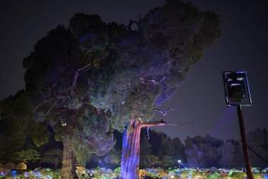 Night view of illuminated Jingshan Park, Chinese imperial garden in Beijing, China on 18 April 2024 clipart