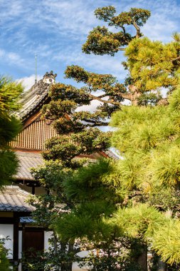 Japonya 'nın Kyoto şehrindeki Nijo kalesinin eski Japon Tokugawa Shogun konutu 12 Kasım 2017