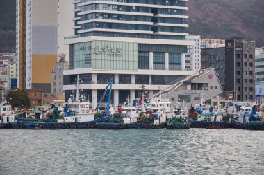 Cityscape of Busan Metropolitan City and Busan harbor in South Korea, on 15 February 2023 clipart