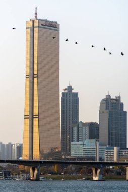 26 Kasım 2022 'de Han Nehri Hangang ve Güney Kore' nin başkenti Seul şehir manzarası