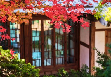 Bukchon Hanok Köyü eski geleneksel Kore mimari bölgesi ve 13 Kasım 2021 'de Güney Kore' nin başkenti Seul 'deki ünlü turizm merkezi.