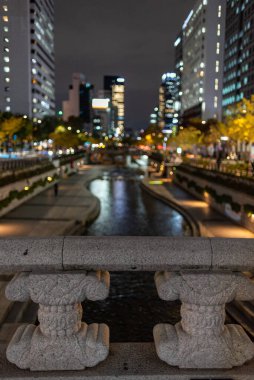 Cheonggyecheon Stream 'in seçici odak noktası, 10 Kasım 2021' de Güney Kore 'nin başkenti Seul' deki halk parkı.