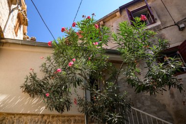 24 Ağustos 2024 'te Hırvatistan' ın Split-Dalmaçya ilinin Adriyatik adası Hvar 'daki Jelsa antik kenti