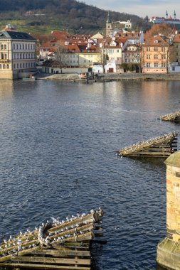 Çek Cumhuriyeti 'nin başkenti Prag' ın şehir manzarası