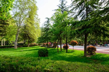 Vake Park, 24 Nisan 2025 'te Gürcistan' ın başkenti Tiflis 'te 2.