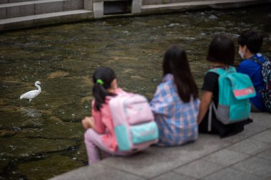 Cheonggyecheon Stream, 5 Eylül 2021 'de Güney Kore' nin başkenti Seul 'deki halk parkı.