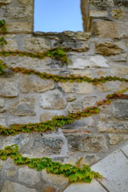 Belgrad 'ın başkenti Belgrad' daki Kalemegdan parkında Tarihi Belgrad Kalesi 'nin kalıntıları