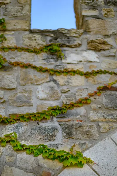 Belgrad 'ın başkenti Belgrad' daki Kalemegdan parkında Tarihi Belgrad Kalesi 'nin kalıntıları