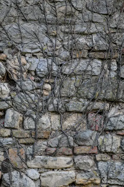 Belgrad 'ın başkenti Belgrad' daki Kalemegdan parkında Tarihi Belgrad Kalesi 'nin kalıntıları