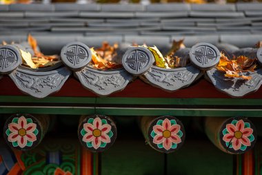 Güney Kore, Seul 'deki Joseon hanedanının Changdeokgung Kraliyet Sarayı' ndaki çatı süslemeleri.