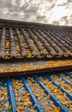 Bukchon Hanok Köyü eski geleneksel Kore mimari bölgesi ve Güney Kore 'nin başkenti Seul' deki ünlü turizm merkezi.