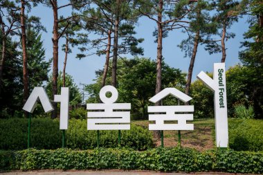 Seul Ormanı, 25 Haziran 2023 'te Güney Kore' nin başkenti Seongdong Bölgesi 'nde büyük bir halk parkı.