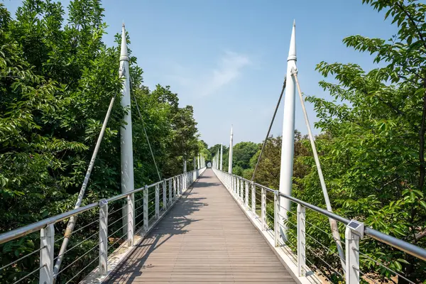 Seul Ormanı, 25 Haziran 2023 'te Güney Kore' nin başkenti Seongdong Bölgesi 'nde büyük bir halk parkı.