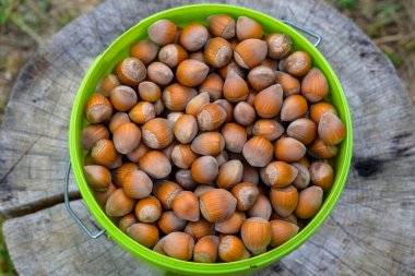 Makro, bir kova dolusu çiğ fındık ve kırsal sağlıklı yiyeceğin yakın görüntüsü.