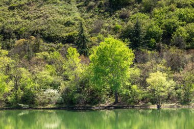 Turtle Gölü, yerel adı Kus Tba, Gürcistan 'ın başkenti Tiflis' in dışında küçük bir göl ve park.