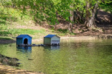 Turtle Gölü, yerel adı Kus Tba, Gürcistan 'ın başkenti Tiflis' in dışında küçük bir göl ve park.