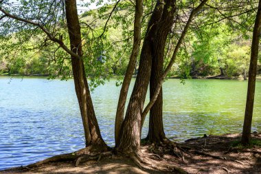 Turtle Gölü, yerel adı Kus Tba, Gürcistan 'ın başkenti Tiflis' in dışında küçük bir göl ve park.