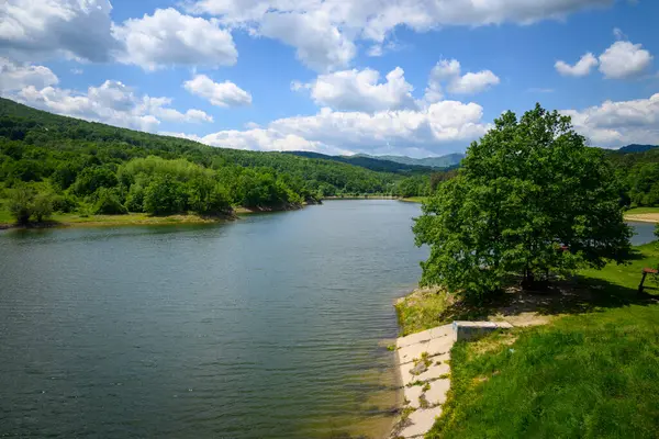 Doğu Sırbistan 'da Bor kenti yakınlarındaki bir yapay göl olan Bor Gölü (Borsko jezero) manzarası