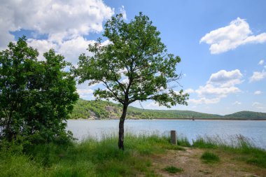 Doğu Sırbistan 'da Bor kenti yakınlarındaki bir yapay göl olan Bor Gölü (Borsko jezero) manzarası