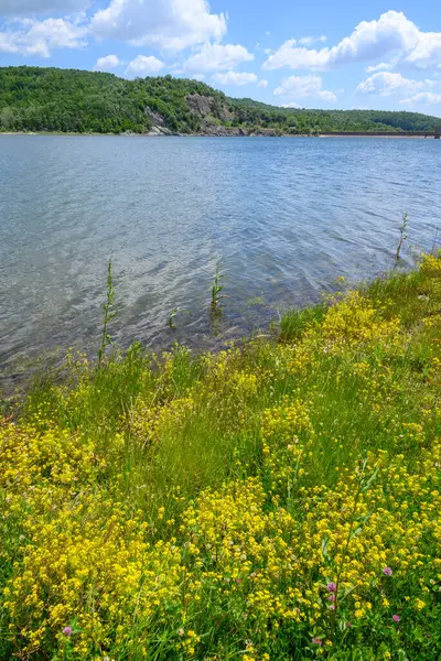 Doğu Sırbistan 'da Bor kenti yakınlarındaki bir yapay göl olan Bor Gölü (Borsko jezero) manzarası