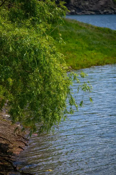 Doğu Sırbistan 'da Bor kenti yakınlarındaki bir yapay göl olan Bor Gölü (Borsko jezero) manzarası