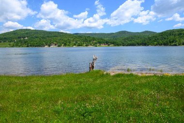 Doğu Sırbistan 'da Bor kenti yakınlarındaki bir yapay göl olan Bor Gölü (Borsko jezero) manzarası