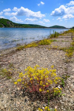 Doğu Sırbistan 'da Bor kenti yakınlarındaki bir yapay göl olan Bor Gölü (Borsko jezero) manzarası
