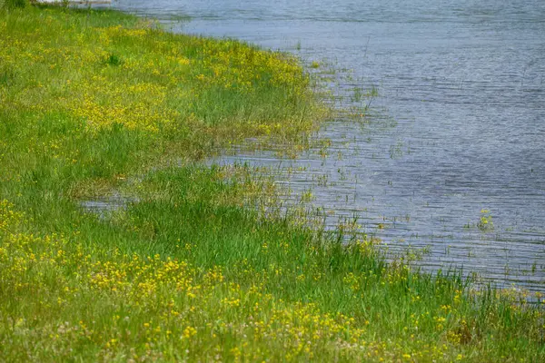 Doğu Sırbistan 'da Bor kenti yakınlarındaki bir yapay göl olan Bor Gölü (Borsko jezero) manzarası
