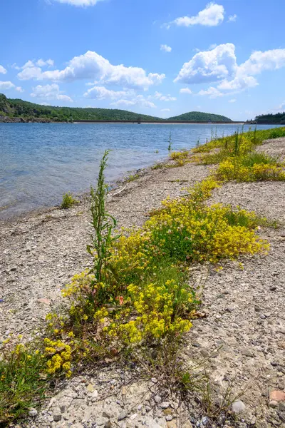 Doğu Sırbistan 'da Bor kenti yakınlarındaki bir yapay göl olan Bor Gölü (Borsko jezero) manzarası