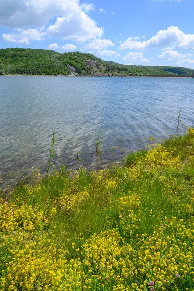 Doğu Sırbistan 'da Bor kenti yakınlarındaki bir yapay göl olan Bor Gölü (Borsko jezero) manzarası