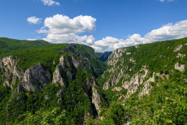 Doğu Sırbistan 'ın Bor kenti yakınlarındaki en derin ve en uzun kanyonu olan Lazar Kanyonu' nun (Lazarev kanjon) manzarası