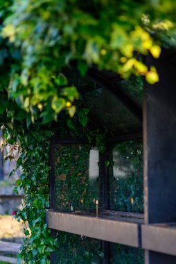 Etrafı yemyeşil sarmaşıklarla çevrili bir cam muhafazanın içinde bir mum yanıyor..