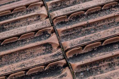 Close-up of weathered terracotta roof tiles with moss and dirt.