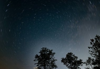 Long exposure of star trails over silhouetted trees at night.