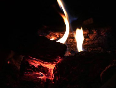 burning bonfire at night in the forest, background